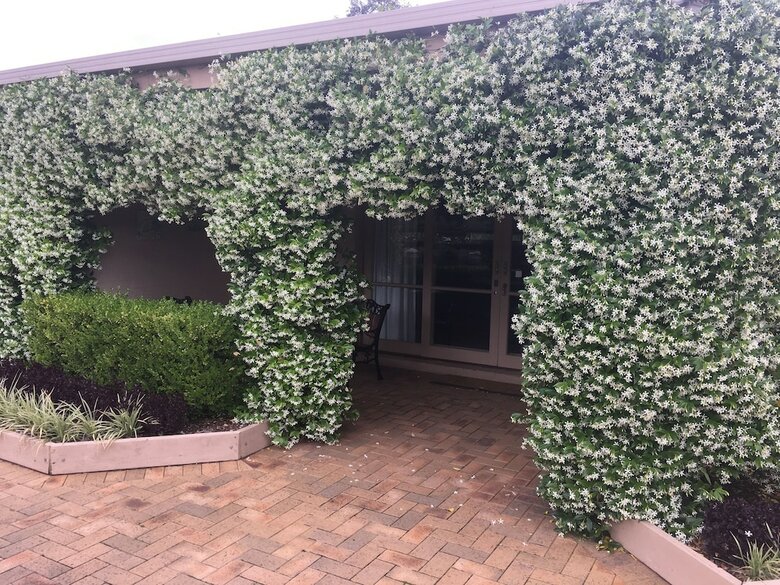 Hotel Grapevines Boutique Accommodation