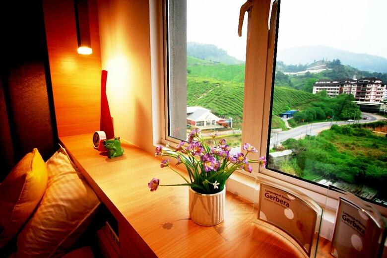 Peony Apartment @ Cameron