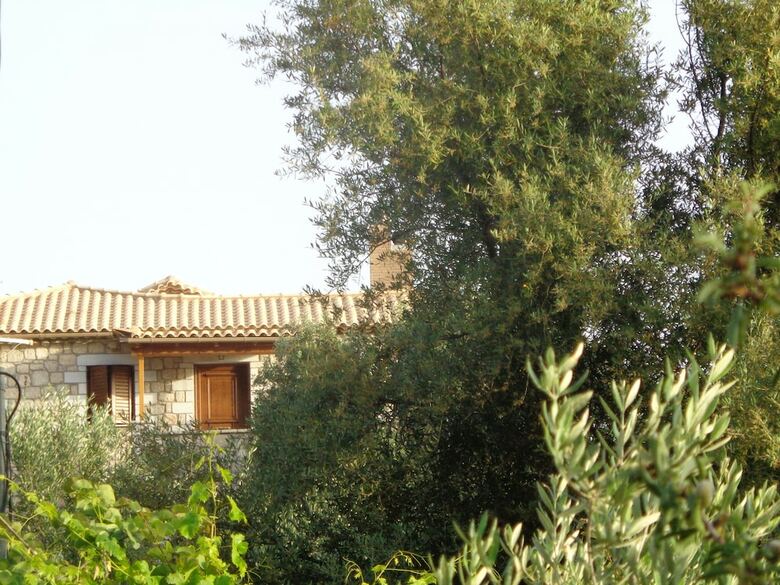 Apartamentos Menina Farm