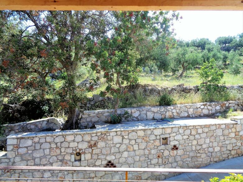 Apartamentos Menina Farm