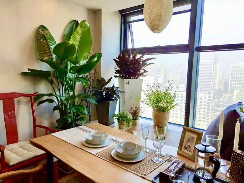 Summer Flower Apartment