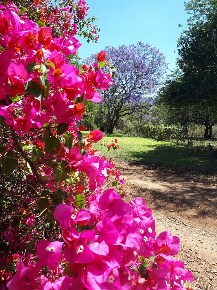 Tamboti Ridge Bed & Breakfast