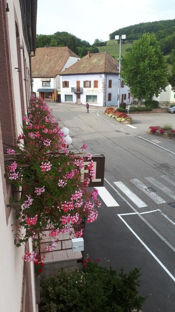 Hotel H�tel Au Vieux Moulin