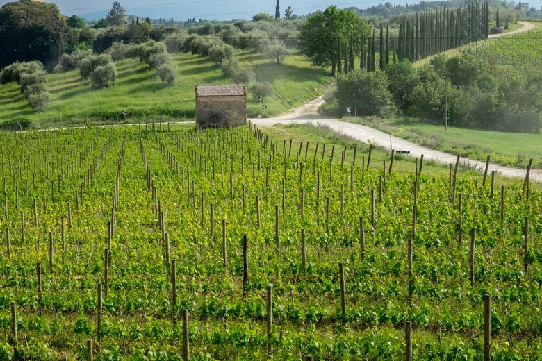 Agroturismo Borgo Argiano