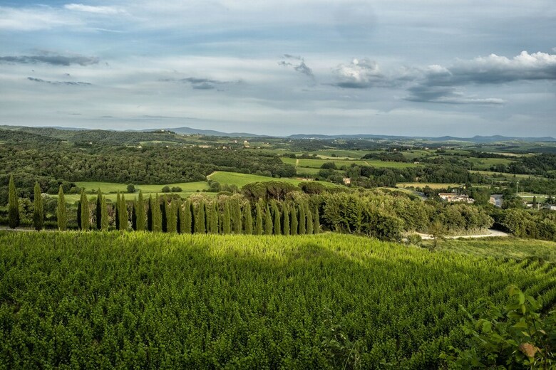 Agroturismo Borgo Argiano