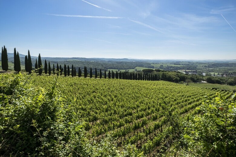Agroturismo Borgo Argiano