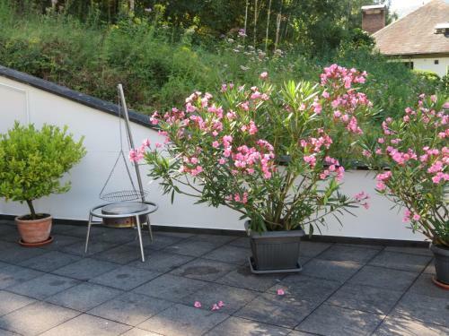 Apartamento Ferienwohnung Berens