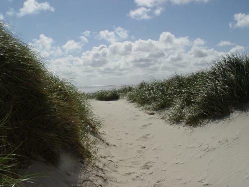 Hotel Seeblick Genuss Und Spa Resort Amrum