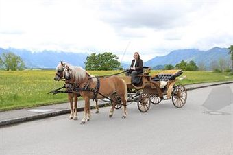 Hotel Alpenhof Murnau
