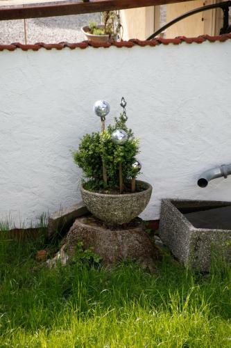 Hostal G�stehaus Kirner