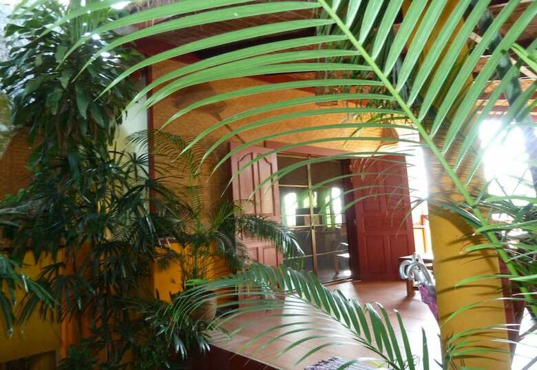 Hotel The Old Tree House