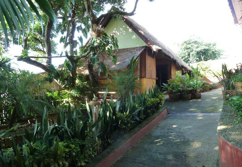 Hotel The Old Tree House