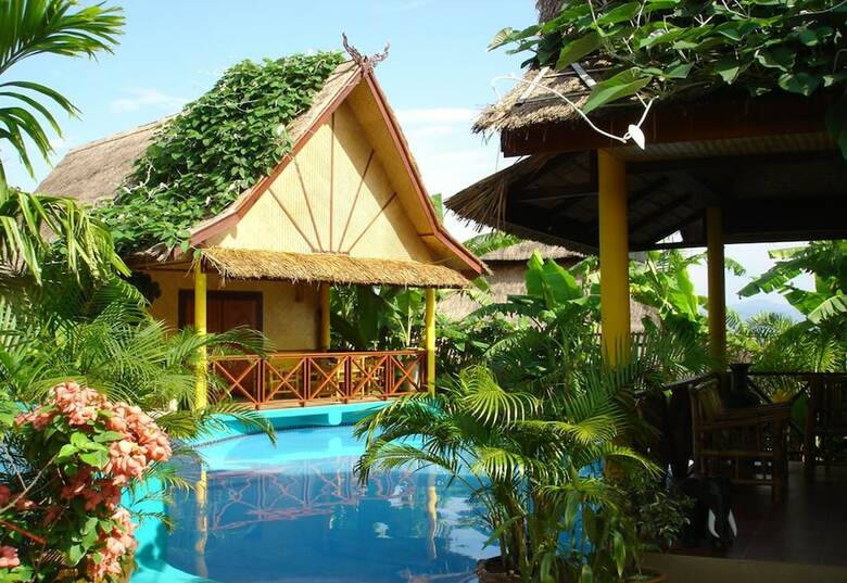 Hotel The Old Tree House