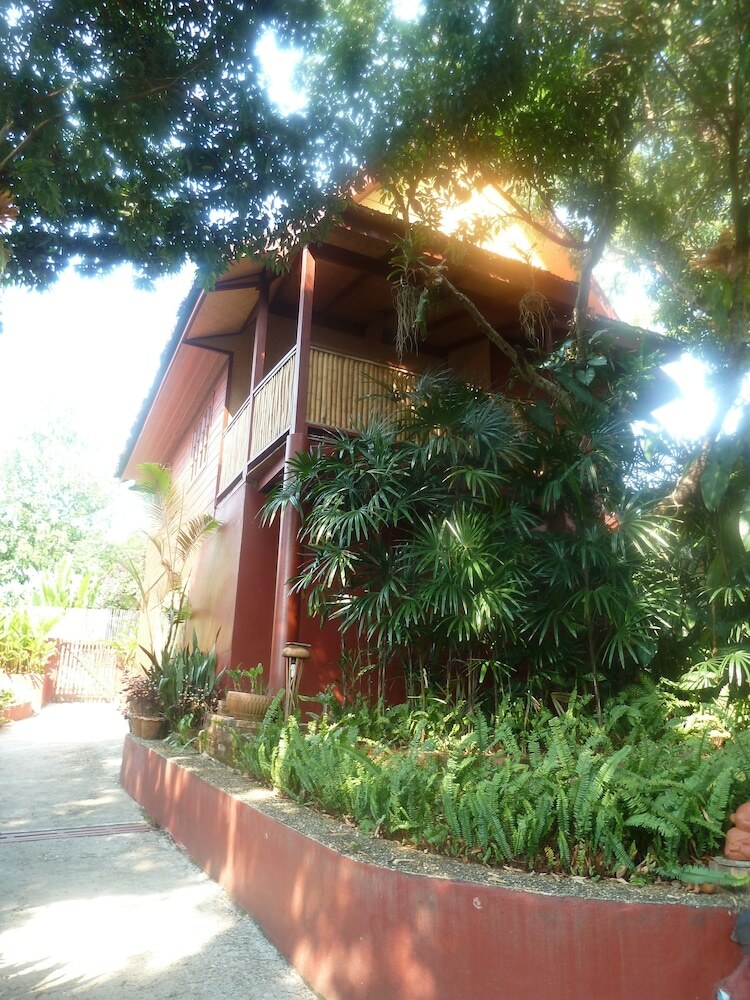 Hotel The Old Tree House