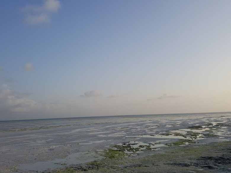 Hotel Jua Retreat - All Inclusive