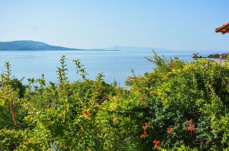 Alekos Beach Houses - Alekos Beach Complex