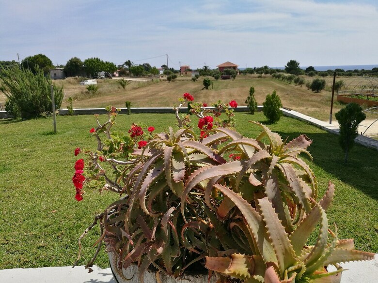 Alekos Beach Houses - Alekos Beach Complex