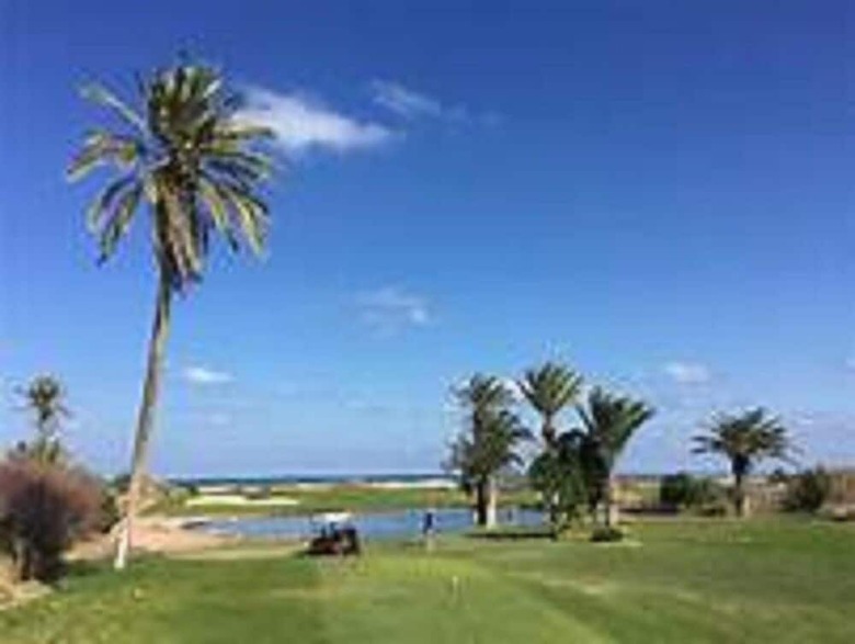 Hotel H�tel Les Palmes D'or