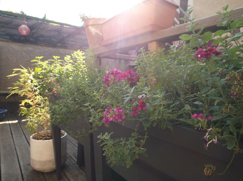 Hotel Le Pigeonnier Chambres D'hotes