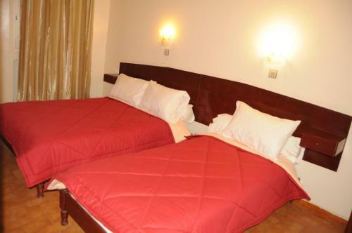 Hotel H�tel Des Lilas