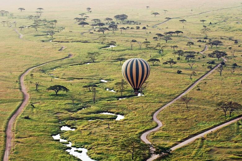 Posada Gnu Ndutu Camp