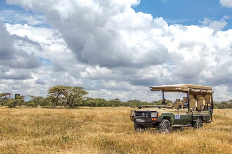 Posada Gnu Ndutu Camp