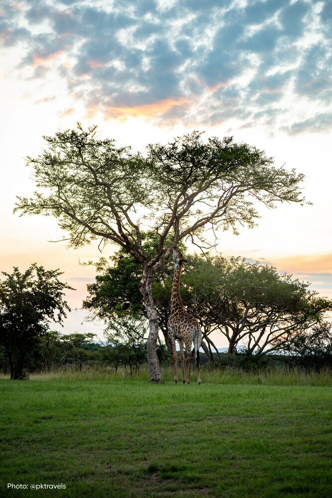 Posada Muluwa Lodge