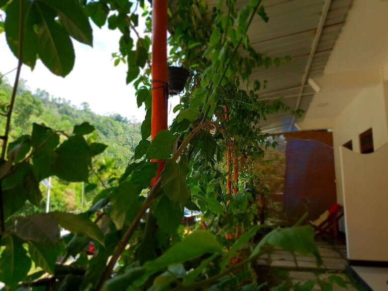 Hotel Ella River House