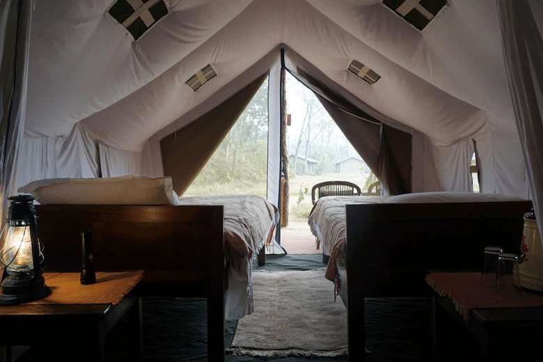 Tigertops Elephant Camp