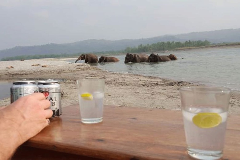 Tigertops Elephant Camp