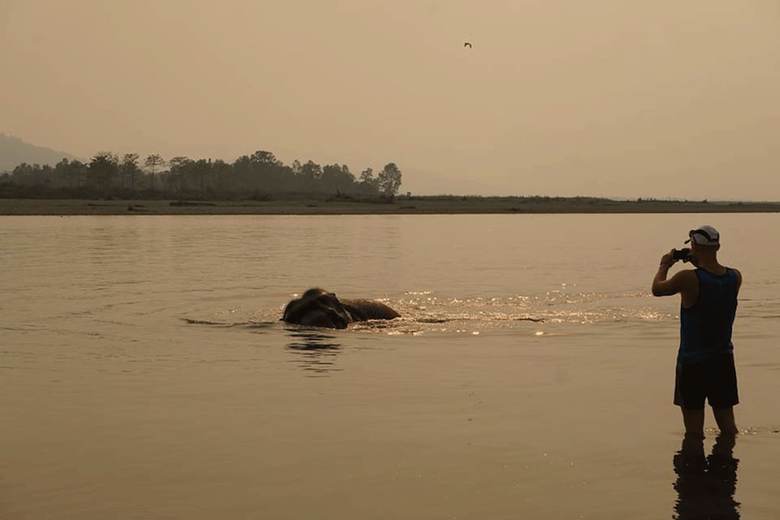 Tigertops Elephant Camp