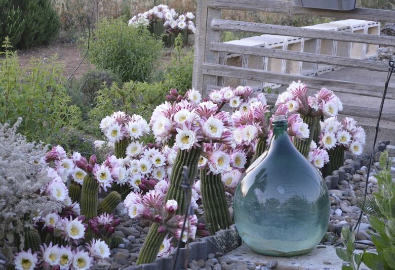 B&B Villa Lavanda