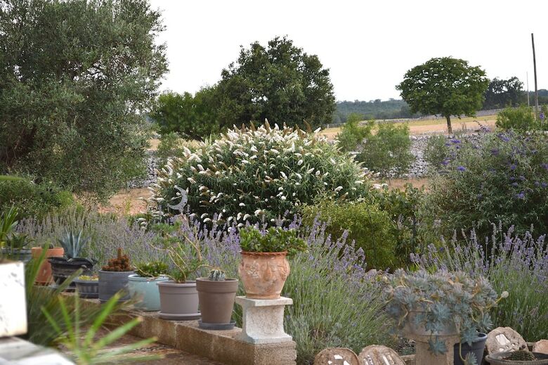 B&B Villa Lavanda
