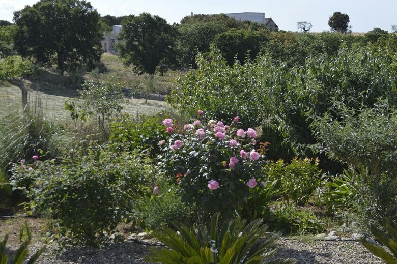 B&B Villa Lavanda