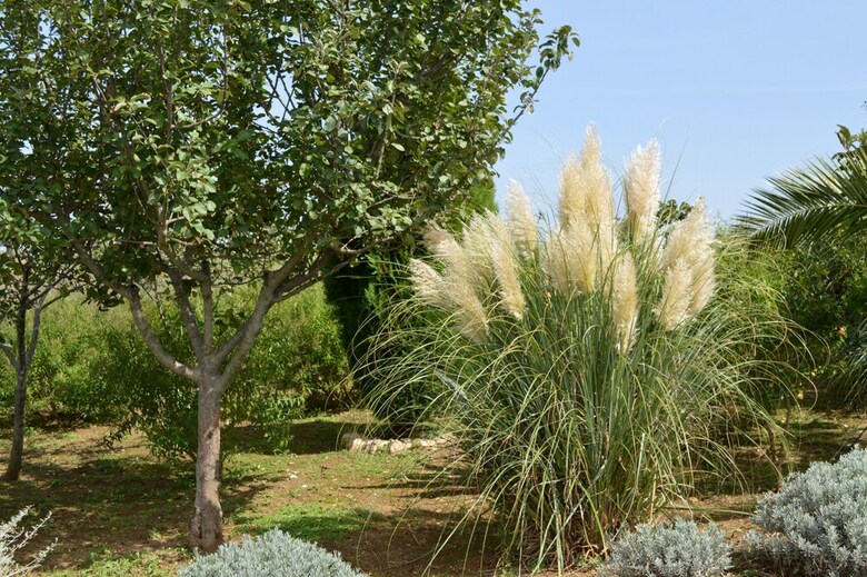 B&B Villa Lavanda