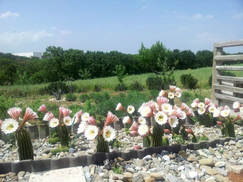 B&B Villa Lavanda
