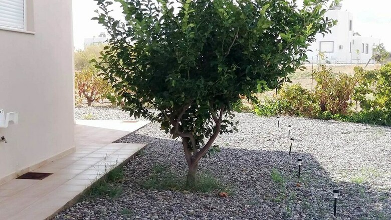 Gennadi Serenity House