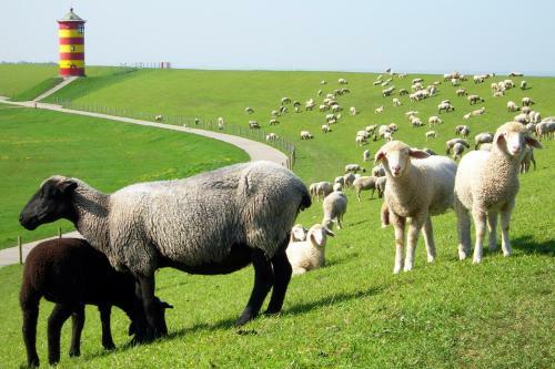 Hostal Hotel Ostfriesland Garni