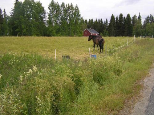 Fredrika Hotell Jakt & Fiskecamp