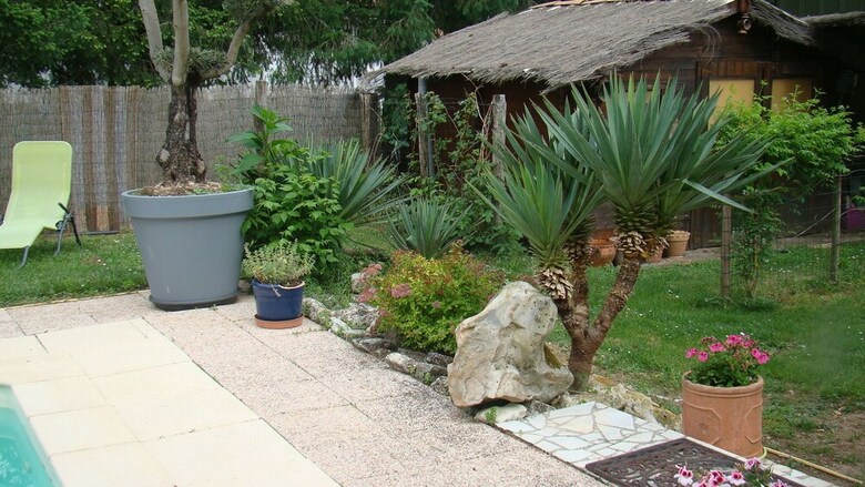 Le Jardin Des Oliviers
