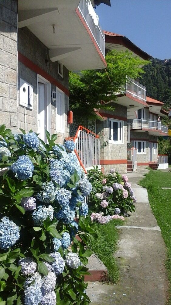 Hotel Dev Cottage
