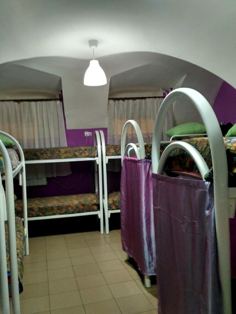 Hostal Jungle - Hostel