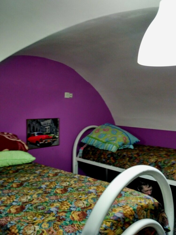 Hostal Jungle - Hostel