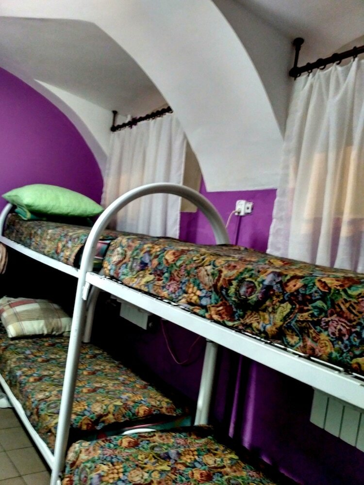 Hostal Jungle - Hostel