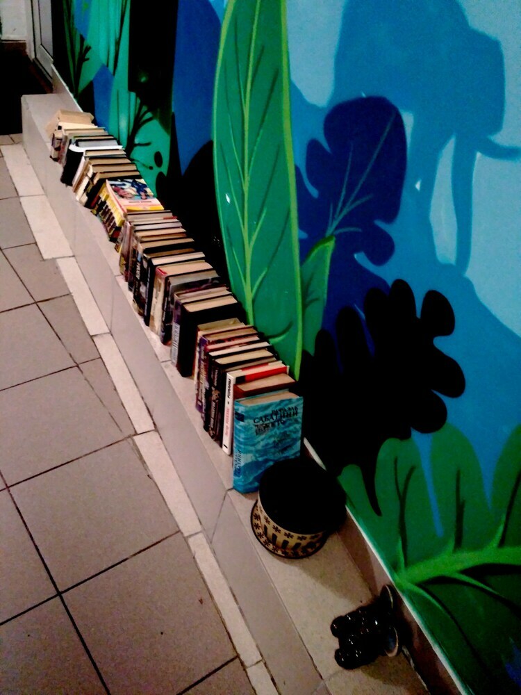 Hostal Jungle - Hostel