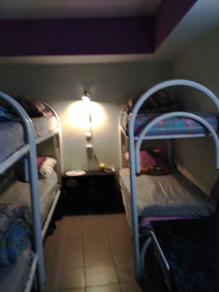 Hostal Jungle - Hostel