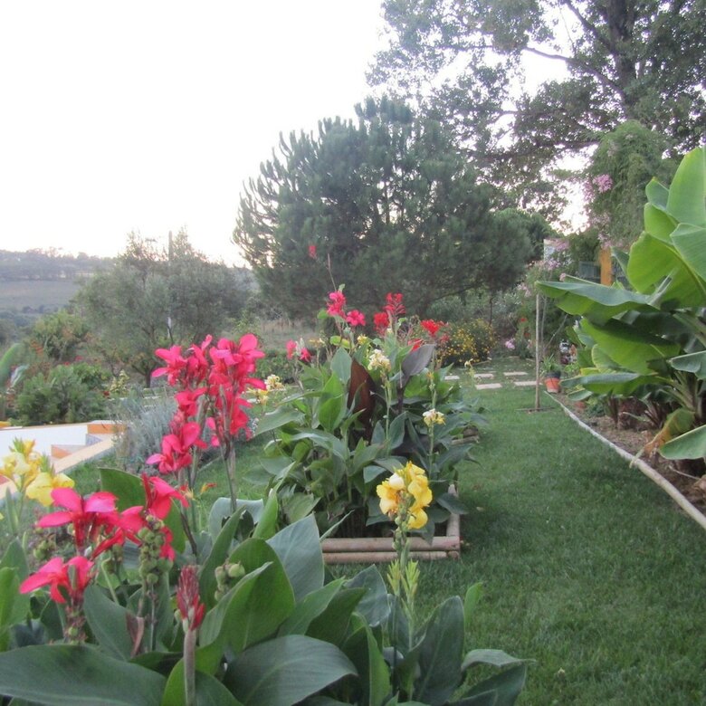 Apartamentos Isabella's World