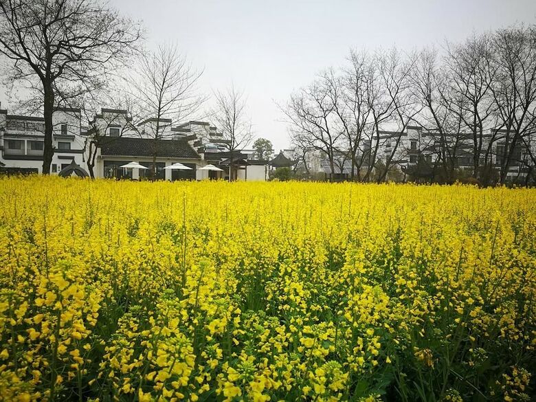 Bed & Breakfast Huangshan Huizhou Creek Villa