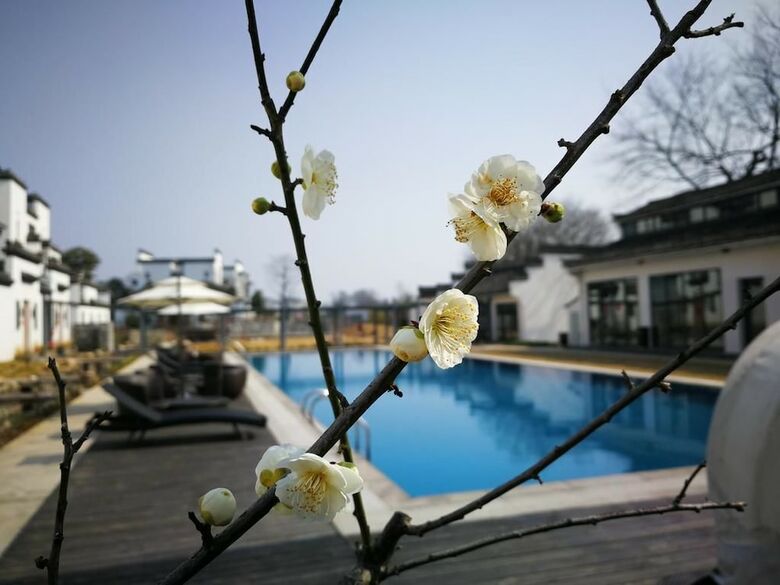 Bed & Breakfast Huangshan Huizhou Creek Villa