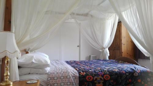 Hostal Purple Hen Country Lodge